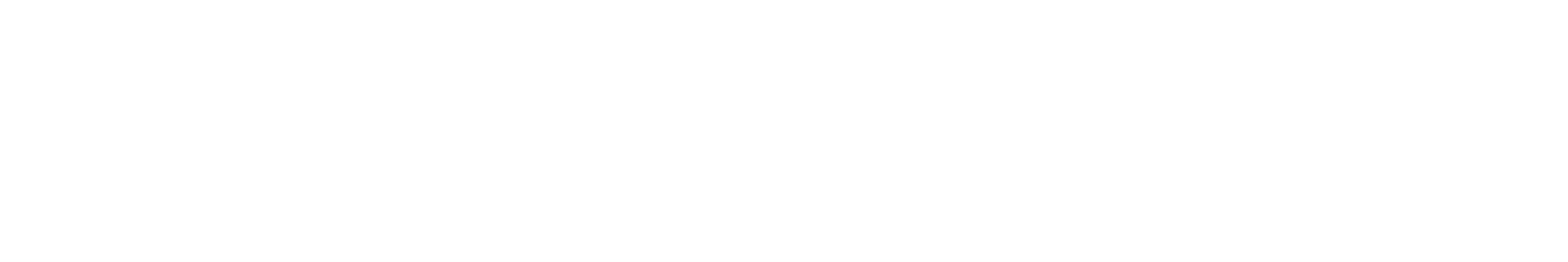 Netaselcom Logo white